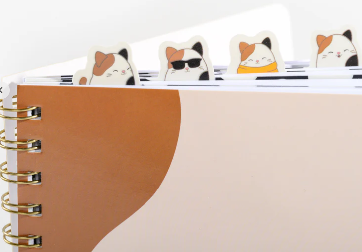 SQUISHMALLOW - Squishmallows Cam Notebook