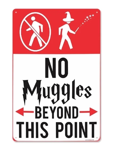 No Muggles Wall Art